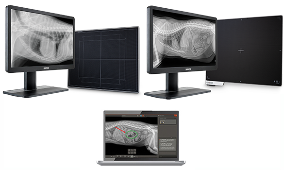 IDEXX digital imaging solutions suite