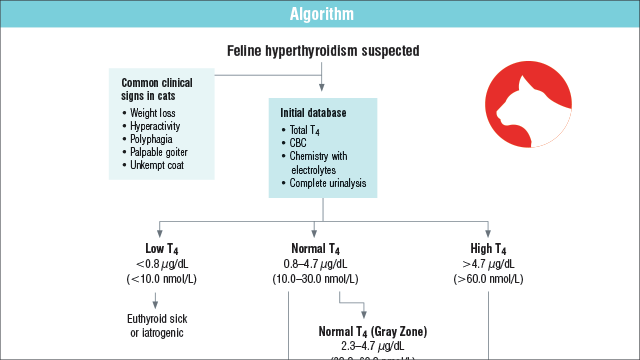 Total T4 Test Slide For IDEXX Catalyst Analyzers - IDEXX US