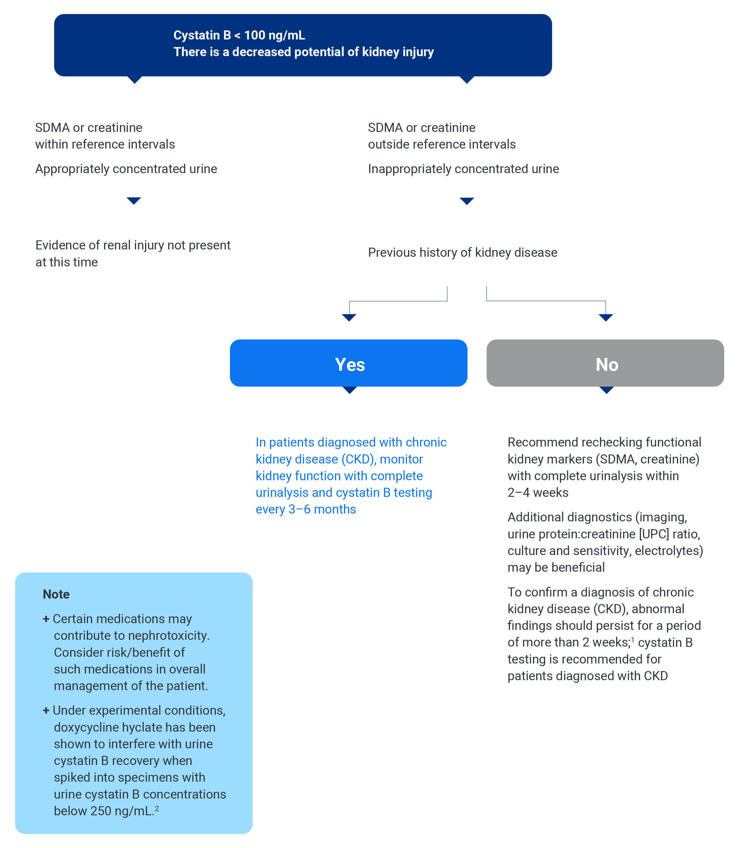 Cystatin B Test Algorithm | IDEXX - IDEXX US